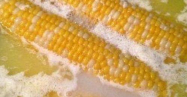 buzzsitemr-BOILED-CORN-ON-THE-COB.