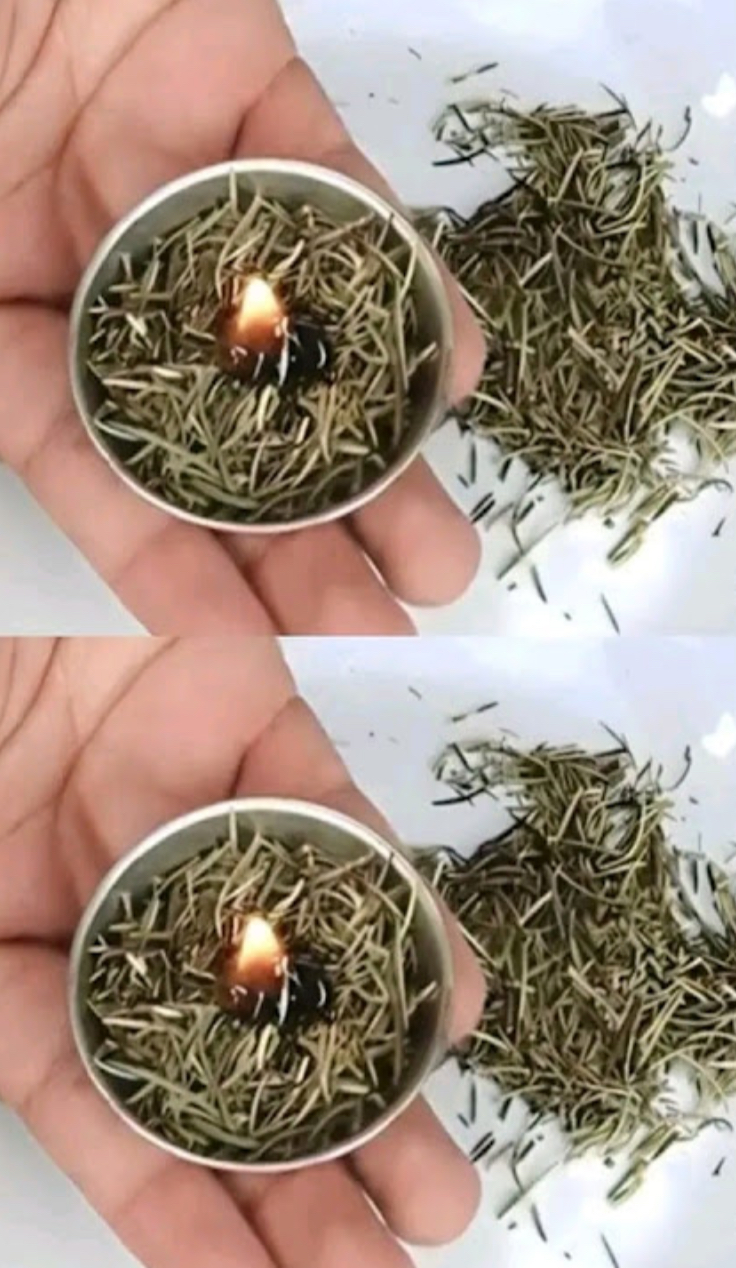 Burn rosemary at home, surprising what happens a few minutes later