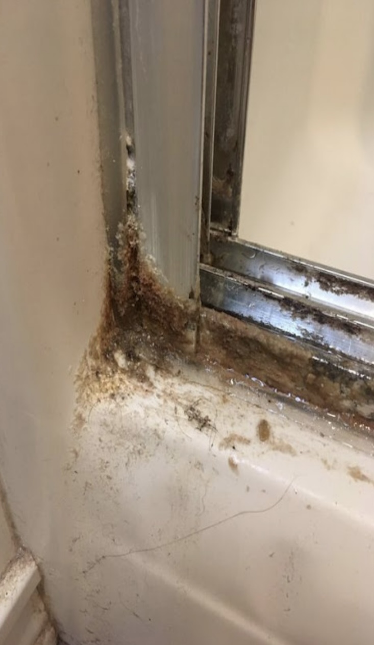 How to clean shower doors with two simple ingredients