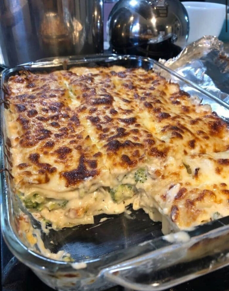 Chicken Broccoli Lasagna Recipe